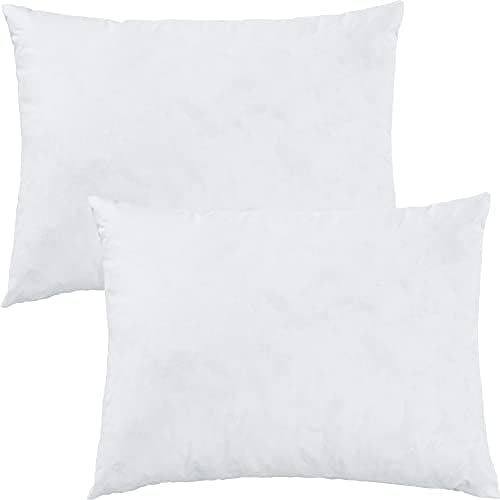 Erwin Müller Riga 2er-Pack 100% Federn weiß 50x50 cm Schlafkomfort