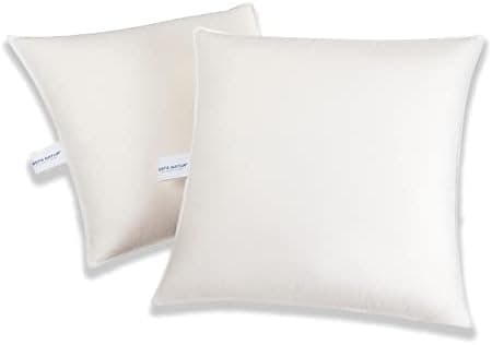 BEFA NATUR Sofakissen 40x40 cm (2 Stück) | 100% Federn, 350g Füllgewicht für Allergiker | Tierwohl, Oeko-TEX Klasse 1 |