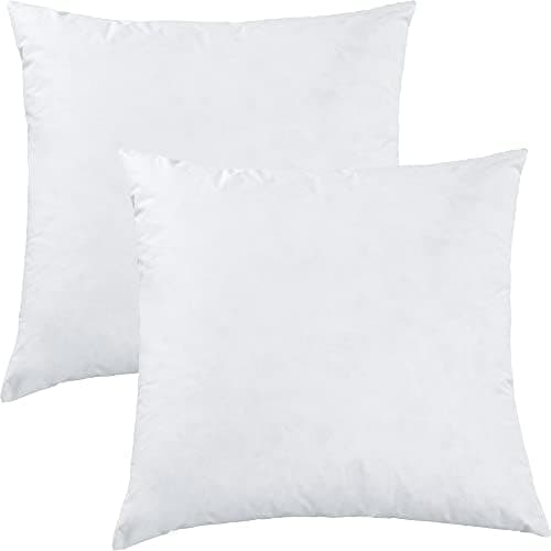 Erwin Müller Riga 2er-Pack 100% Federn weiß 50x50 cm Schlafkomfort