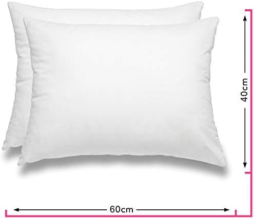 Wometo 2er Set Federkissen: 100% Federn, 40x60-600g, Oeko-TEX, Baumwollbezug, weiß, kleine Kopfkissen, 2 Stück, OEKO-TEX