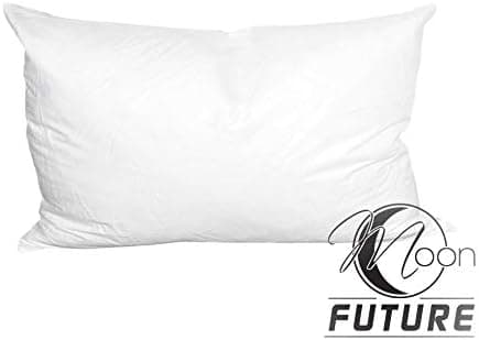 Moon Future 2er Pack HighEnd Sofakissen daunenweich Ultrasoft für Relaxen im Wohnzimmer 40x40 cm  
Moon Future 2er Pack