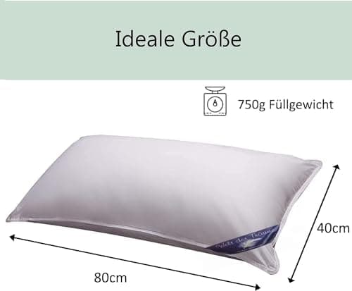 Welt der Träume 2 Stück Daunen-Federnkissen | 40x80 cm | 100% Baumwolle | kein Lebendrupf | weiß