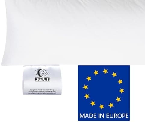 Moon Future 2er Pack HighEnd Sofakissen daunenweich Ultrasoft für Relaxen im Wohnzimmer 40x40 cm  
Moon Future 2er Pack