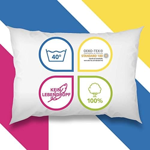 Wometo 2er Set Federkissen: 100% Federn, 40x60-600g, Oeko-TEX, Baumwollbezug, weiß, kleine Kopfkissen, 2 Stück, OEKO-TEX