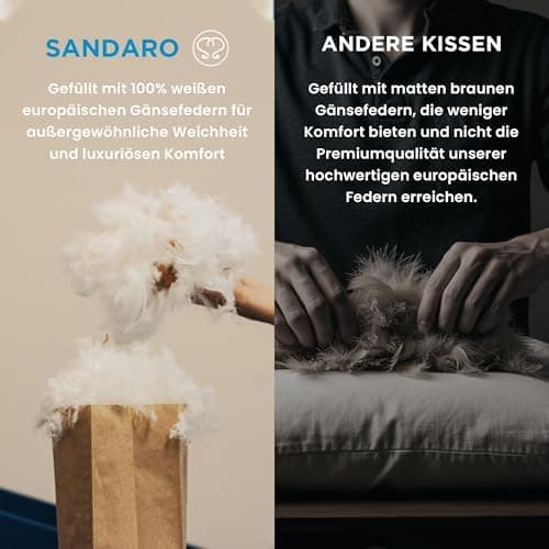 Kopfkissen 80x80 2er Set | Federkissen 100% Gänsefedern 80 x 80 cm, Öko-Tex Zertifiziert, Baumwollbezug (2000)