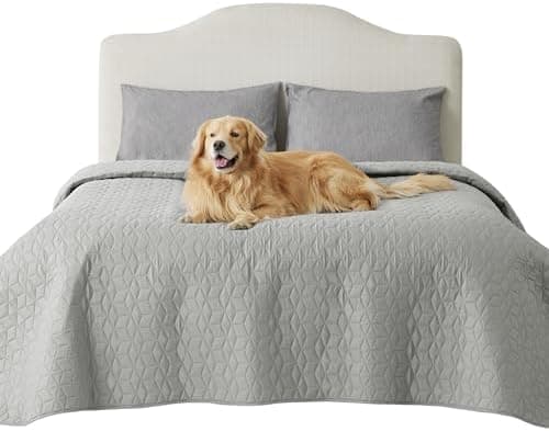 BEDSURE wasserdichte Hundedecke - 76x178 cm rutschfeste Schutzmatte für Couch, waschbar und kratzfest, Grau OEKO-TEX STA