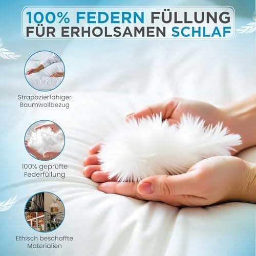 Federnkissen 40x80 2er Set 850g | Öko-Tex Zertifiziert - 100% natürliche Federfüllung, Baumwollbezug OEKO-TEX