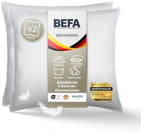 BEFA NATUR Allergiker geeignet 3-Kammer Daunenkissen 550g Füllgewicht 50x50 cm | Tierwohl Oeko-TEX Klasse 1 Made in Germ