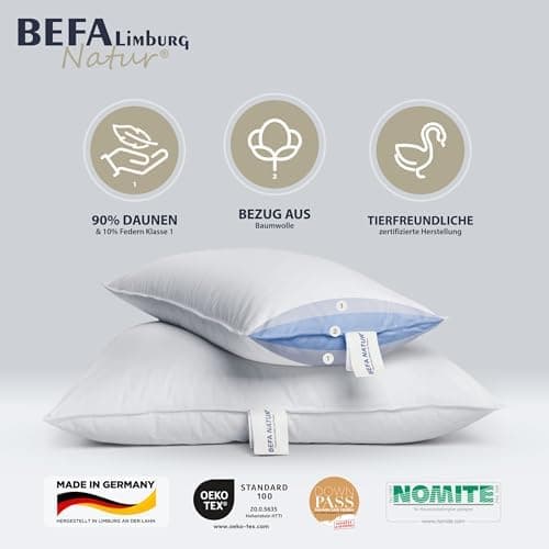 BEFA NATUR Allergiker geeignet 3-Kammer Daunenkissen 550g Füllgewicht 50x50 cm | Tierwohl Oeko-TEX Klasse 1 Made in Germ