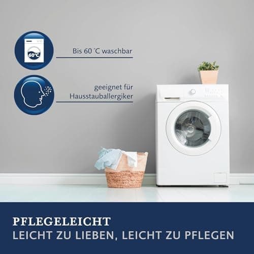 Billerbeck weiches Kuschelkissen D/F - perfekt fürs Wochenende - 40 x 40 cm - Daunen und Federn Mischung