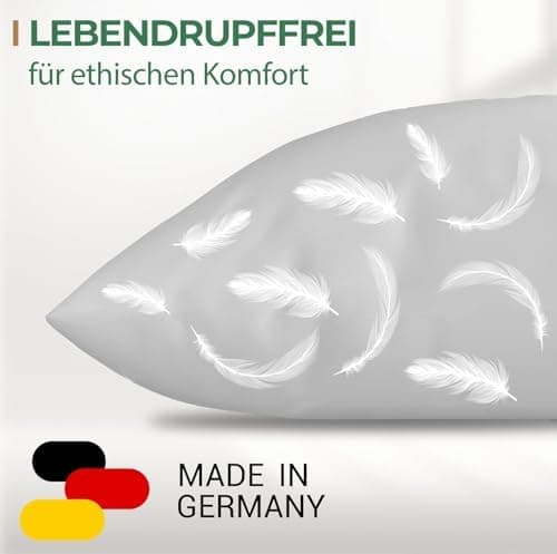 Knerst Federkissen - 100% Federfüllung für erholsamen Schlaf - Ökotex-Zertifiziert 50x50 2er Set