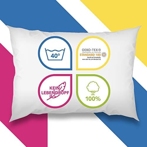 Wometo 4er Set Federkissen: 100% Federn, Oeko-TEX, Baumwolls Bezüge, weiß, kleine Kopfkissen, 40x40 cm, 300g Füllmasse,