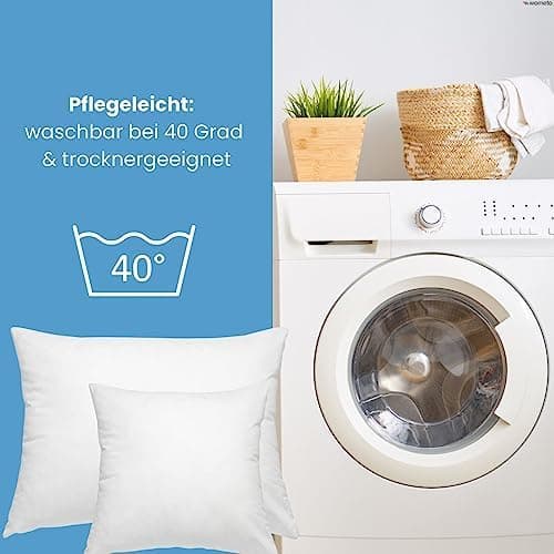 Wometo 2er Set Federkissen: 100% Federn, 40x60-600g, Oeko-TEX, Baumwollbezug, weiß, kleine Kopfkissen, 2 Stück, OEKO-TEX