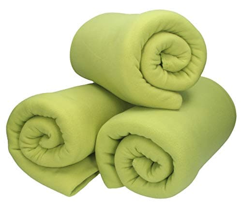 Betz Fleecedecke – weiche Wohndecke & Kuscheldecke – fürs Sofa & Bett – flauschig, leicht, wärmend & pflegeleicht – lila