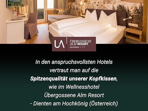 ZOLLNER Deluxe Daunenkissen - Hotelqualität – für Allergiker geeignet – Made in Germany - 40x40 cm - OEKO-TEX STANDARD 1