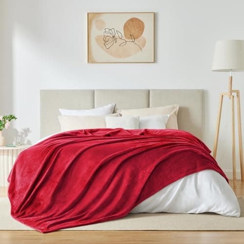 Kuscheldecke WAVVE Flauschig Warm - Sofadecke 150x200 cm Weich für Wohnraum Couchdecke GrauXL
