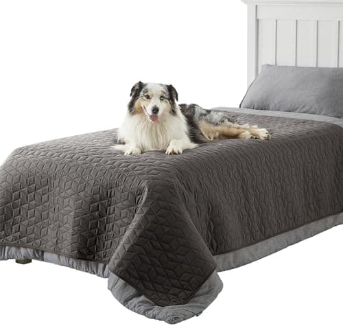 BEDSURE wasserdichte Hundedecke - 76x178 cm rutschfeste Schutzmatte für Couch, waschbar und kratzfest, Grau OEKO-TEX STA