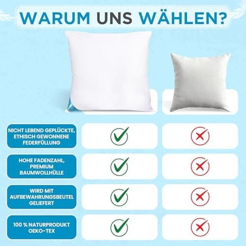 Kopfkissen 80x80 2er Set | Federkissen 100% Gänsefedern 80 x 80 cm, Öko-Tex Zertifiziert, Baumwollbezug (2000)