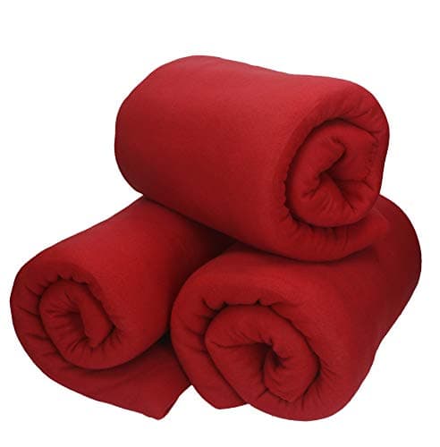 Betz Fleecedecke – weiche Wohndecke & Kuscheldecke – fürs Sofa & Bett – flauschig, leicht, wärmend & pflegeleicht – lila