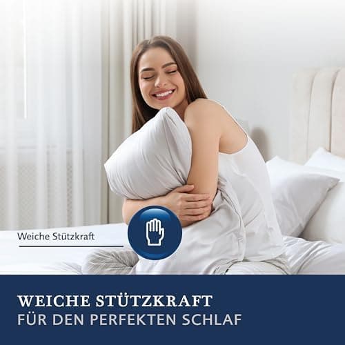 Billerbeck weiches Kuschelkissen D/F - perfekt fürs Wochenende - 40 x 40 cm - Daunen und Federn Mischung