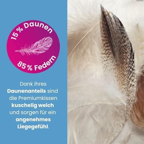 Wometo Premium-Line Oeko-TEX Feder- & Daunenkissen 85% Federn 15% Daunen 40x40 300 g Baumwolle Weiss