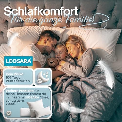 3-Kammer Daunenkissen 80x80 - Atmungsaktiv für Allergiker - OEKO-TEX STANDARD 100

3-Kammer Daunenkissen 80x80 - Kopfkis