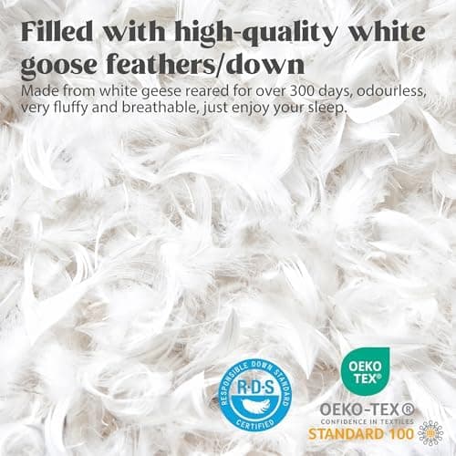 Deodar Allergiker-Federkissen 80x80 | 2er Set | 1KG Füllungen | Öko-Tex Zertifiziert | Baumwollbezug | Waschbar