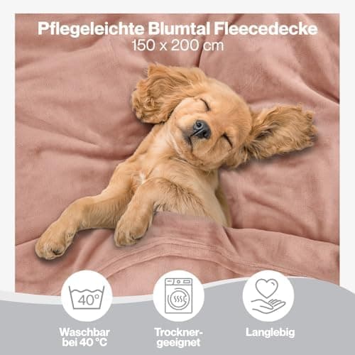 Blumtal wohndecke Anthrazit - flauschig - Oeko-TEX zertifiziert - 130x150 cm - Couch & Wohnzimmernutzung - Fliesdecke -