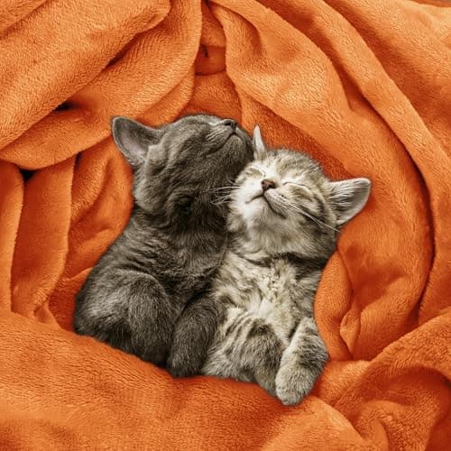 Utopia Bedding Kuscheldecke flauschig Warm für Winter und Sofa
