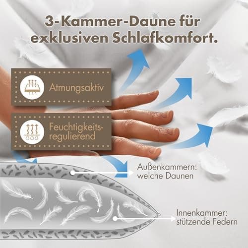 Lilenno Home 3-Kammer Daunenkissen 40x80 - Allergiker geeignet - langlebiges Kopfkissen mit Daunen- und Federn-Füllung