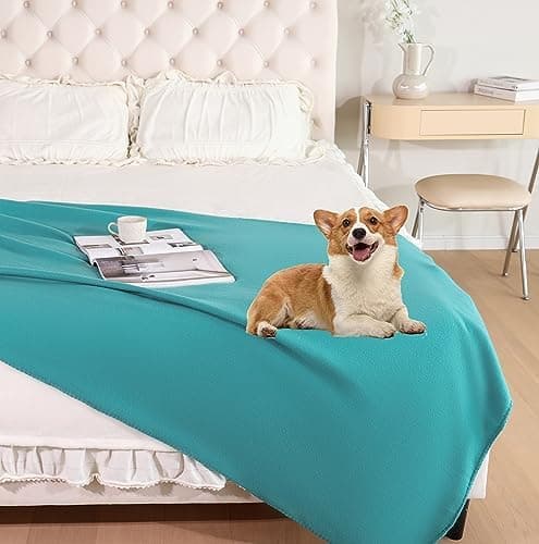 CAI TENG Warm und Weich 125 X 150 cm Kuscheldecke für Couch und Schlafzimmer OEKO-TEX STANDARD 100