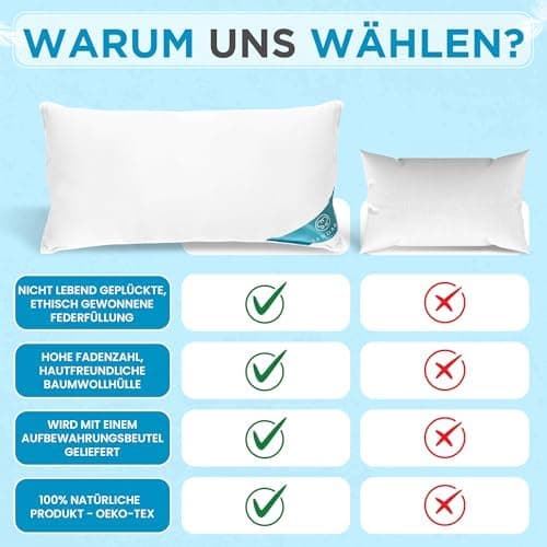 Federnkissen 40x80 2er Set 850g | Öko-Tex Zertifiziert - 100% natürliche Federfüllung, Baumwollbezug OEKO-TEX