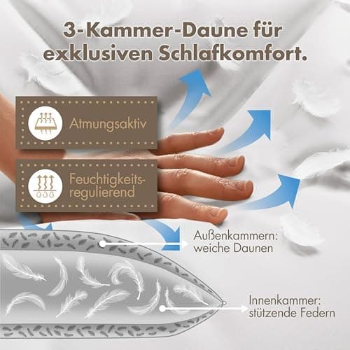 Lilenno Home 3-Kammer Daunenkissen 40x80 - Allergiker geeignet - langlebiges Kopfkissen mit Daunen- und Federn-Füllung