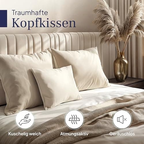 Gentle North Kopfkissen (40x40 cm) - 2er Set - Weiß für Bett und Deko - Ökotex - Waschbar - Reißverschluss für Füllung