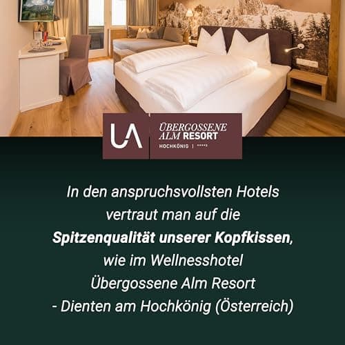 ZOLLNER Deluxe Daunenkissen - Hotelqualität – für Allergiker geeignet – Made in Germany - 40x40 cm - OEKO-TEX STANDARD 1