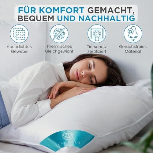 Kopfkissen 80x80 2er Set | Federkissen 100% Gänsefedern 80 x 80 cm, Öko-Tex Zertifiziert, Baumwollbezug (2000)
