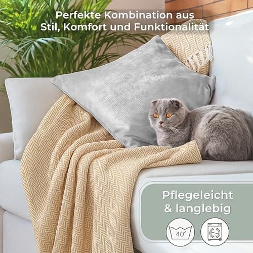 Gräfenstayn Premium Baumwolltagesdecke Creme - 100% Baumwolle - Sommerdecke - Fischgrätenmuster - Bett- und Couch-Überwu