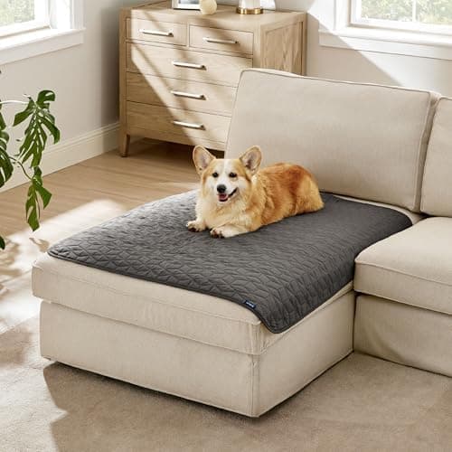 BEDSURE wasserdichte Hundedecke - 76x178 cm rutschfeste Schutzmatte für Couch, waschbar und kratzfest, Grau OEKO-TEX STA