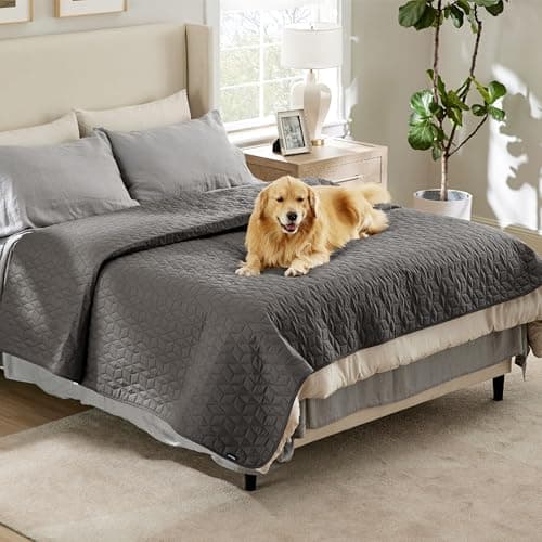 BEDSURE wasserdichte Hundedecke - 76x178 cm rutschfeste Schutzmatte für Couch, waschbar und kratzfest, Grau OEKO-TEX STA