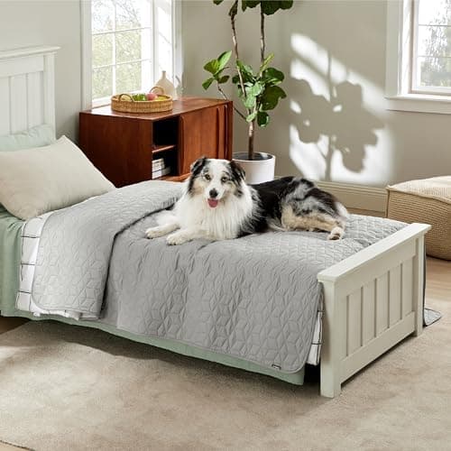 BEDSURE wasserdichte Hundedecke - 76x178 cm rutschfeste Schutzmatte für Couch, waschbar und kratzfest, Grau OEKO-TEX STA