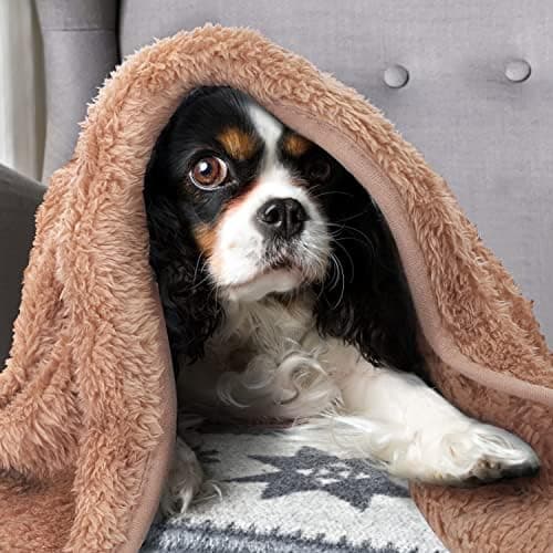 Nobleza Weiche Fleecedecke für Hund und Katze, Waschbar, Warm und Komfortabel - Grau 100x80cm  
Nobleza Waschbare Hunded
