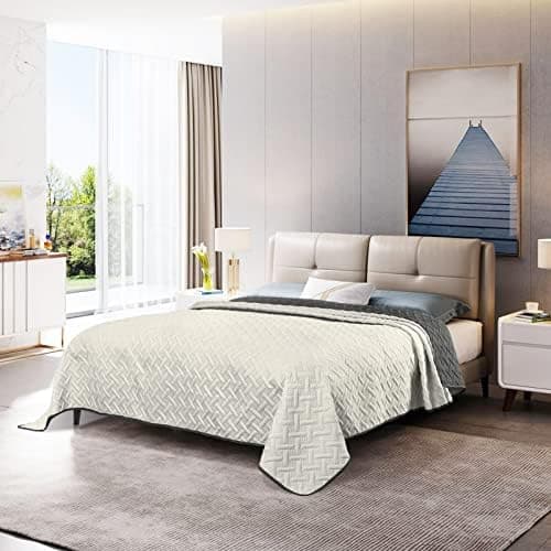 WOLTU Tagesdecke 220x240 cm Steppdecke, Ultraschall genäht, woholiberaler und hautfreundlich, für Sofa und Bett, Global