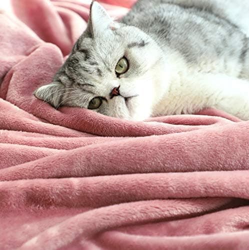 TASTHROW Weiche Fleecedecke für Wohnzimmer, Soft und Warm Tagesdecke, perfekt für Familie und Gäste (Rosa, 130x180cm)