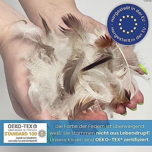 Wometo 2er Set Federkissen: 100% Federn, 40x60-600g, Oeko-TEX, Baumwollbezug, weiß, kleine Kopfkissen, 2 Stück, OEKO-TEX
