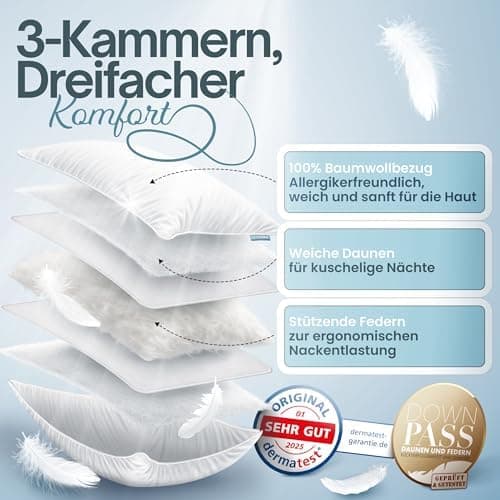 3-Kammer Daunenkissen 80x80 - Atmungsaktiv für Allergiker - OEKO-TEX STANDARD 100

3-Kammer Daunenkissen 80x80 - Kopfkis