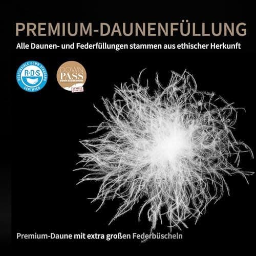 SAPHREAS Ganzjahres Daunendecke Baumwollsamt 155x220 cm OEKO-TEX RDS Zertifiziert  
SAPHREAS Daunendecke Baumwollsamt 15