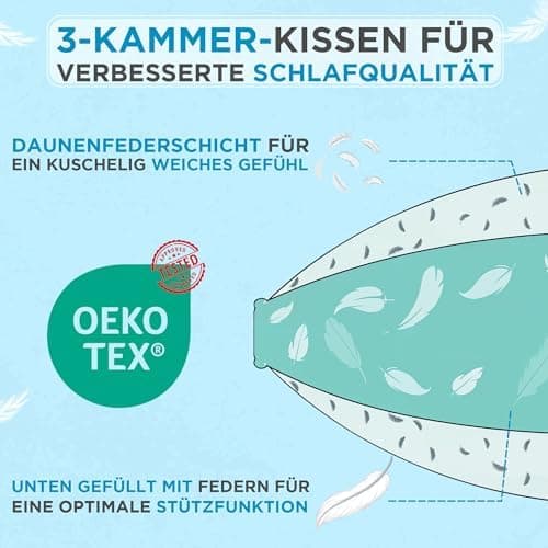 Federnkissen 40x80 2er Set 850g | Öko-Tex Zertifiziert - 100% natürliche Federfüllung, Baumwollbezug OEKO-TEX