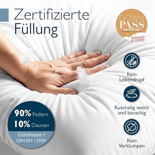 Beautissu 2er Daunenkissen-Set 80x80cm – Waschbar & Made in Germany – Oeko-Tex Zertifiziert – Kopfkissen 80x80cm