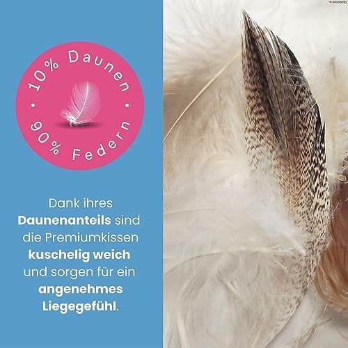 Wometo Premium Oeko-TEX Feder- & Daunenkissen - 80x80 cm, 90% Federn 10% Daunen, 1200 g Füllung Baumwolle Bezug, weiß (F