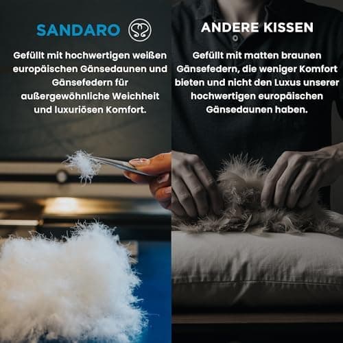 Federnkissen 40x80 2er Set 850g | Öko-Tex Zertifiziert - 100% natürliche Federfüllung, Baumwollbezug OEKO-TEX